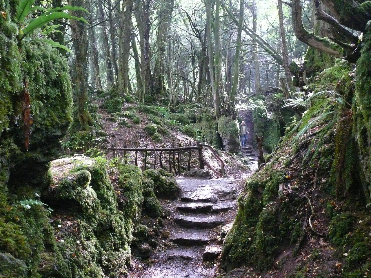 哀牢山背后三大谜团，探寻自然与历史的秘密